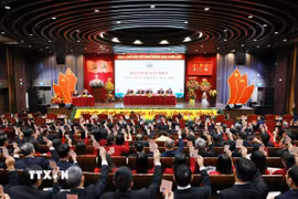 Các đại biểu biểu quyết thông qua Nghị quyết Đại hội. (Ảnh: Phạm Kiên/TTXVN)