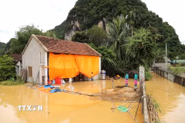 Vùng hạ lưu sông Lam thuộc địa bàn xã Con Cuông bị nước lũ bao vây, cô lập. (Ảnh: Xuân Tiến/TTXVN)