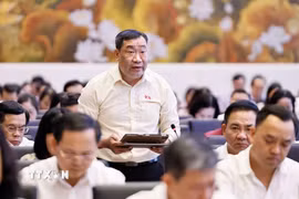 Đại biểu Quốc hội tỉnh Vĩnh Long Thạch Phước Bình phát biểu. (Ảnh: Doãn Tấn/TTXVN)