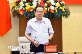 Bí thư Đảng ủy Quốc hội, Chủ tịch Quốc hội Trần Thanh Mẫn, Trưởng Tiểu ban Văn kiện phát biểu khai mạc phiên họp. (Ảnh: Doãn Tấn/TTXVN)