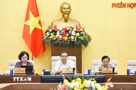 Chủ tịch Quốc hội Trần Thanh Mẫn phát biểu. (Ảnh: Doãn Tấn/TTXVN)