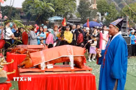 Thầy cúng làm lễ cầu mong mùa màng bội thu, mưa thuận gió hòa đến với người dân địa phương. (Ảnh: Quốc Khánh/TTXVN)