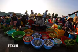 Rau vườn, trái cây là cây nhà, là cá bắt dưới mương lên còn tươi xanh. (Ảnh: Duy Khương/TTXVN)