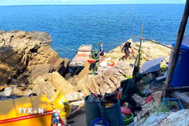 Bộ đội Biên phòng Hòn Chuối huy động lực lượng phối hợp hỗ trợ 5 hộ dân sinh sống trên đảo di dời nhà cửa từ Ghềnh Chướng sang Ghềnh Nam để tránh sóng lớn theo mùa, đảm bảo an toàn tính mạng và tài sản cho nhân dân. (Ảnh: TTXVN phát)