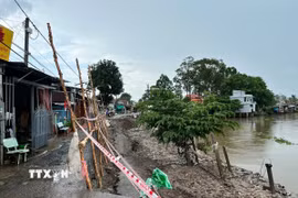 Sạt lở tuyến đường nhựa nông thôn tại ấp An Phú, xã An Hoà (Châu Thành, An Giang) với chiều dài khoảng 50m, ăn sâu vào gần hết mặt đường khoảng 4-5m. (Ảnh: TTXVN phát)