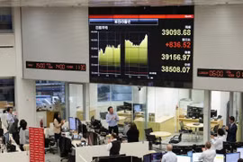 Giao dịch viên tại một công ty chứng khoán ở Tokyo, Nhật Bản. (Ảnh: Kyodo/TTXVN)