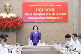 Bí thư Trung ương Đảng, Phó Thủ tướng Chính phủ Phạm Thị Thanh Trà phát biểu kết luận buổi làm việc. (Ảnh: Tuấn Anh/TTXVN)