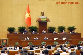 Phó Chủ tịch Quốc hội Nguyễn Thị Hồng phát biểu. (Ảnh: Doãn Tấn/TTXVN)