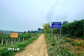 Hiện Công ty cổ phần Dược liệu Pù Mát kết hợp giữa vùng trồng dược liệu để phát triển du lịch canh nông, thu hút khách du lịch. (Ảnh: TTXVN phát)