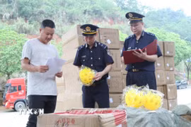 Lực lượng Hải quan cửa khẩu Cốc Nam (Lạng Sơn) tra soát mã, chủng loại hàng nhập khẩu qua cửa khẩu. (Ảnh: Quang Duy/TTXVN)