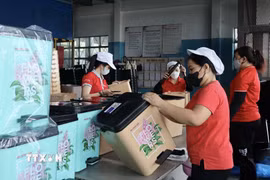 Ảnh minh họa. (Ảnh: Xuân Anh/TTXVN)