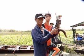Nông dân và du khách khoe thành phẩm dỡ chà cá. (Ảnh: Hồng Nhung/TTXVN)