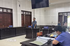 Tòa án nhân dân tỉnh Quảng Ninh xét xử sơ thẩm, tuyên phạt Đặng Quốc Chính (trú tại phường Yên Tử) 4 năm tù về tội “Hủy hoại rừng”. (Ảnh: TTXVN phát)