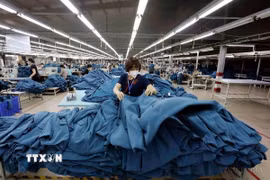 Doanh nghiệp đa dạng thị trường để thúc đẩy xuất khẩu. (Ảnh: TTXVN)