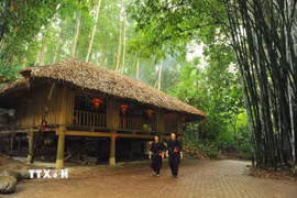 Ảnh minh họa. (Ảnh: Minh Đức/TTXVN)