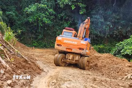 Ảnh minh họa. (Ảnh: TTXVN phát)