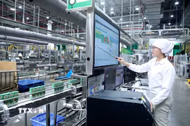 Tập đoàn Nestlé Việt Nam là một doanh nghiệp có 100% vốn nước ngoài (Thụy Sĩ) đã liên tục tăng vốn đầu tư và mở rộng hoạt động tại Hưng Yên từ năm 2017 đến nay. (Ảnh: Thế Duyệt/TTXVN)
