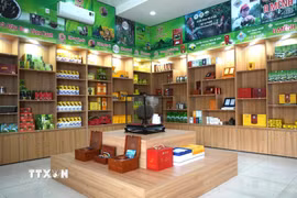 Các sản phẩm trà Shan tuyết và đặc sản OCOP của tỉnh Tuyên Quang được giới thiệu, quảng bá, từng bước mở rộng thị trường và nâng cao giá trị nông sản địa phương. (Ảnh: Minh Tâm/TTXVN)