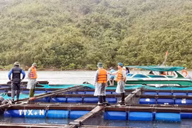 Một khu nuôi trồng thủy sản ở Quảng Ninh. (Nguồn: TTXVN)
