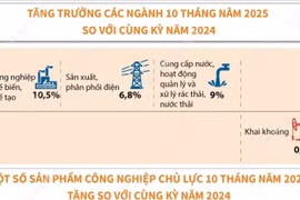 Chỉ số sản xuất toàn ngành công nghiệp trong 10 tháng năm 2025 tăng 9,2% 