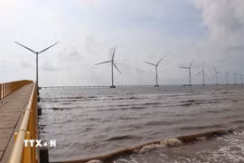 Một trong những dự án điện gió nằm trong Khu kinh tế Định An đã đi vào hoạt động. (Ảnh: Phúc Sơn/TTXVN)