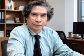 Phó Giáo sư, Tiến sỹ Nguyễn Thường Lạng, Giảng viên cao cấp Viện Thương mại và Kinh tế Quốc tế, Đại học Kinh tế Quốc dân đề xuất thành lập đầu mối chuyên trách để theo dõi, xử lý dứt điểm các điểm nghẽn và quy trách nhiệm rõ ràng. (Ảnh: Diệu Thúy/TTXVN)
