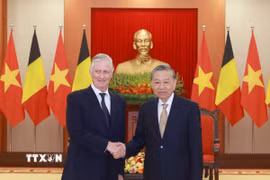 Tổng Bí thư Tô Lâm hội kiến Nhà Vua Bỉ Philippe. (Ảnh: Thống Nhất/TTXVN)