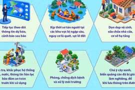 Khuyến cáo những việc cần làm sau bão