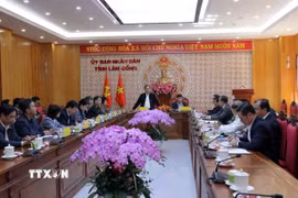 Phó Thủ tướng Bùi Thanh Sơn phát biểu chỉ đạo. (Ảnh: Chu Quốc Hùng/TTXVN)