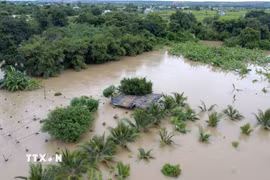 Nhiều nhà cửa, hoa màu của người dân phường Hàm Thắng (Lâm Đồng) bị ngập sâu trong nước lũ. (Ảnh: Nguyễn Thanh/TTXVN)