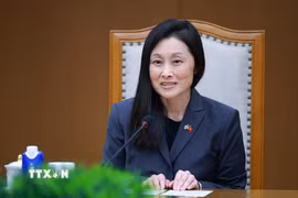 Bà Jennifer Wicks, Đại sứ Hoa Kỳ tại Việt Nam. (Ảnh: Dương Giang/TTXVN)