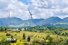 Theo Quy hoạch điện 8 phân bổ công suất điện gió cho tỉnh Quảng Trị đến năm 2030 là 1.800MW và Quy hoạch điện 8 điều chỉnh công suất tăng thêm 560MW. (Ảnh: Nguyên Linh/TTXVN)