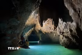 Hang động trong Vườn Quốc gia Phong Nha-Kẻ Bàng. (Ảnh: TTXVN phát)