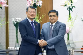 Thủ tướng Lê Minh Hưng tiếp ông Sanjay Dhawan, Phó Chủ tịch Tập đoàn ACME của Ấn Độ. (Ảnh: Dương Giang/TTXVN)