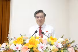 Ông Dương Minh Dũng Phó Chủ tịch Ủy ban Nhân dân tỉnh Đồng Nai phát biểu nhận nhiệm vụ. (Ảnh: Lê Xuân/TTXVN)