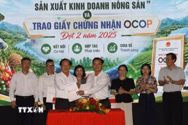 Đại diện các doanh nghiệp, hợp tác xã tham gia ký kết giao thương. (Ảnh: Nhật Bình/TTXVN)