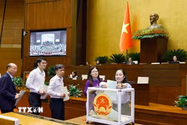 Đại biểu Quốc hội bỏ phiếu phê chuẩn Thẩm phán Tòa án nhân dân Tối cao, Phó Thủ tướng Chính phủ, Bộ trưởng và thành viên khác của Chính phủ. (Ảnh: Doãn Tấn/TTXVN)