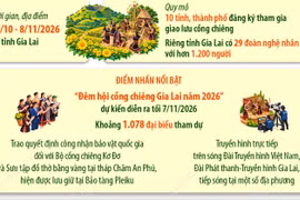 Gia Lai tổ chức chuỗi sự kiện Festival cồng chiêng-Tuần lễ Hoa Dã quỳ năm 2026 
