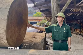 Cựu chiến binh Trần Văn Phú (ở thôn Thanh Khê, xã Bắc Trạch, tỉnh Quảng Trị) là một trong những điển hình tiêu biểu về phát triển kinh tế và tích cực trong các hoạt động sẻ chia vì cộng đồng. (Ảnh: Võ Dung/TTXVN)