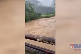 Mưa lớn kèm dông lốc gây thiệt hại nặng nề tại Lào Cai 