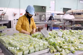 Công nhân Công ty Trách nhiệm hữu hạn Bánh kẹo đặc sản Thiên Đức (xã Đông Hưng) hối hả sản xuất các sản phẩm để phục vụ thị trường Tết. (Ảnh: Thế Duyệt/ TTXVN)
