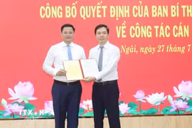 Ủy viên Trung ương Đảng, Phó Trưởng ban Tổ chức Trung ương Trịnh Mạnh Linh trao Quyết định cho Phó Bí thư Tỉnh ủy Quảng Ngãi Nguyễn Đức Tâm. (Ảnh: TTXVN phát)