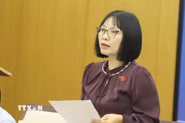 Đại biểu Quốc hội Nguyễn Thị Việt Nga phát biểu khai mạc tọa đàm lấy ý kiến xây dựng pháp luật liên quan đến hàng hải, môi trường biển. (Ảnh: Minh Thu/TTXVN)