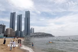 Thành phố Busan (Hàn Quốc). (Ảnh: TTXVN phát)