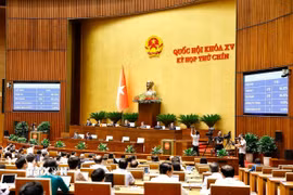 Quốc hội biểu quyết thông qua Nghị quyết của Quốc hội sửa đổi, bổ sung một số điều của Hiến pháp năm 2013. (Ảnh: Doãn Tấn/TTXVN)
