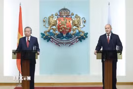 Tổng Bí thư Tô Lâm và Tổng thống Bulgaria Rumen Radev tại cuộc gặp gỡ báo chí. (Ảnh: Thống Nhất/TTXVN)