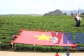 Hàng ngàn lượt du khách đến Cao nguyên Mộc Châu trong dịp nghỉ lễ 30/4