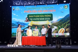 Nghi thức kiểm tra, mở niêm phong thùng phiếu đấu giá sầu riêng. (Ảnh: Hoài Thu/TTXVN)