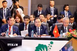 Chủ tịch Quốc hội Trần Thanh Mẫn dự Phiên họp Ban điều hành AIPA. (Ảnh: Doãn Tấn/ TTXVN)
