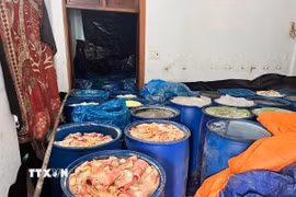 Hàng trăm kg da heo đã bốc mùi hôi thối bị lực lượng chức năng bắt giữ. (Ảnh: Nhật Minh/TTXVN)